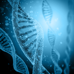 gene