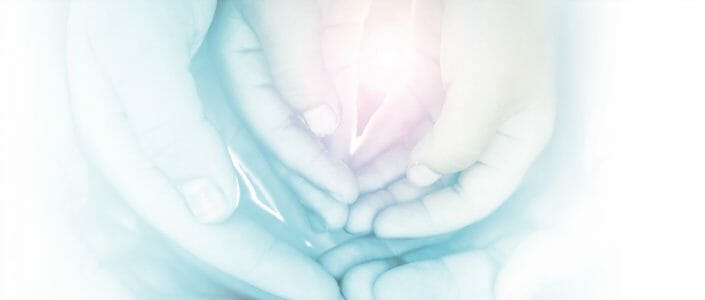 CL-Headerimage-light