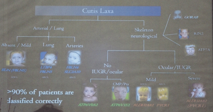 Classification (tout)